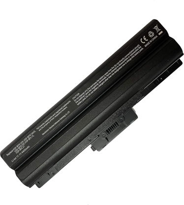 تصویر  Battery Sony BPS13 BPS21 FSO